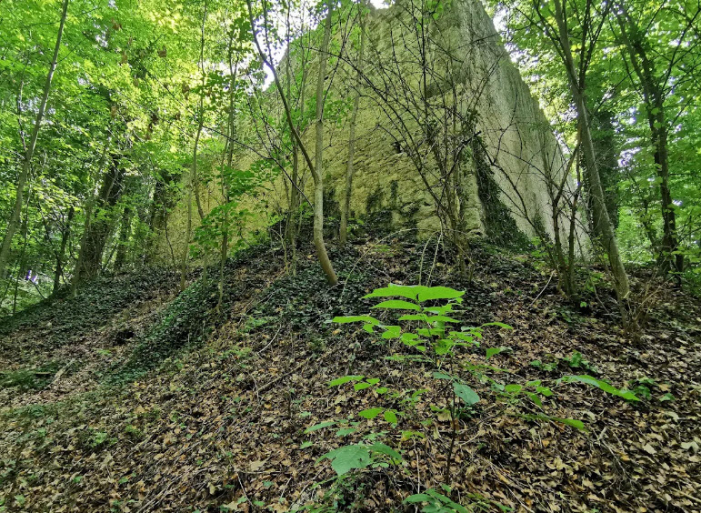 Burgruine Steinhart, Germany